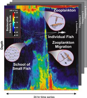 Acoustic Zooplankton Fish Profiler screenshot